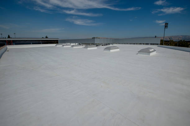 Fast & Reliable Emergency Roof Repairs in Lauderdale Lakes, FL
