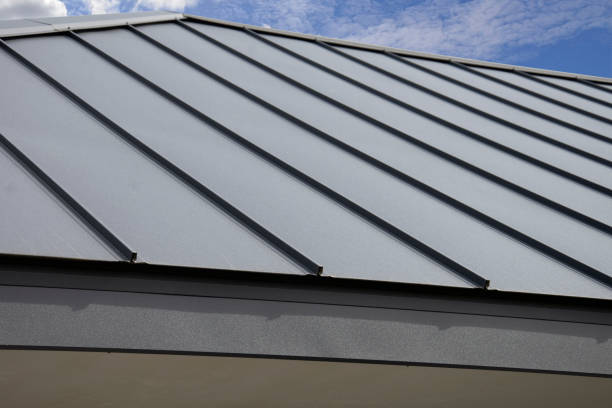 Best Steel Roofing  in Lauderdale Lakes, FL